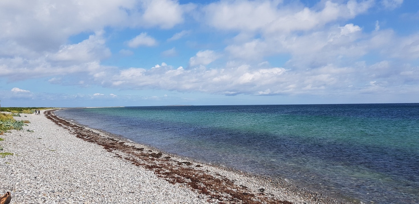 5 grunde til at besøge Molboensbakke
