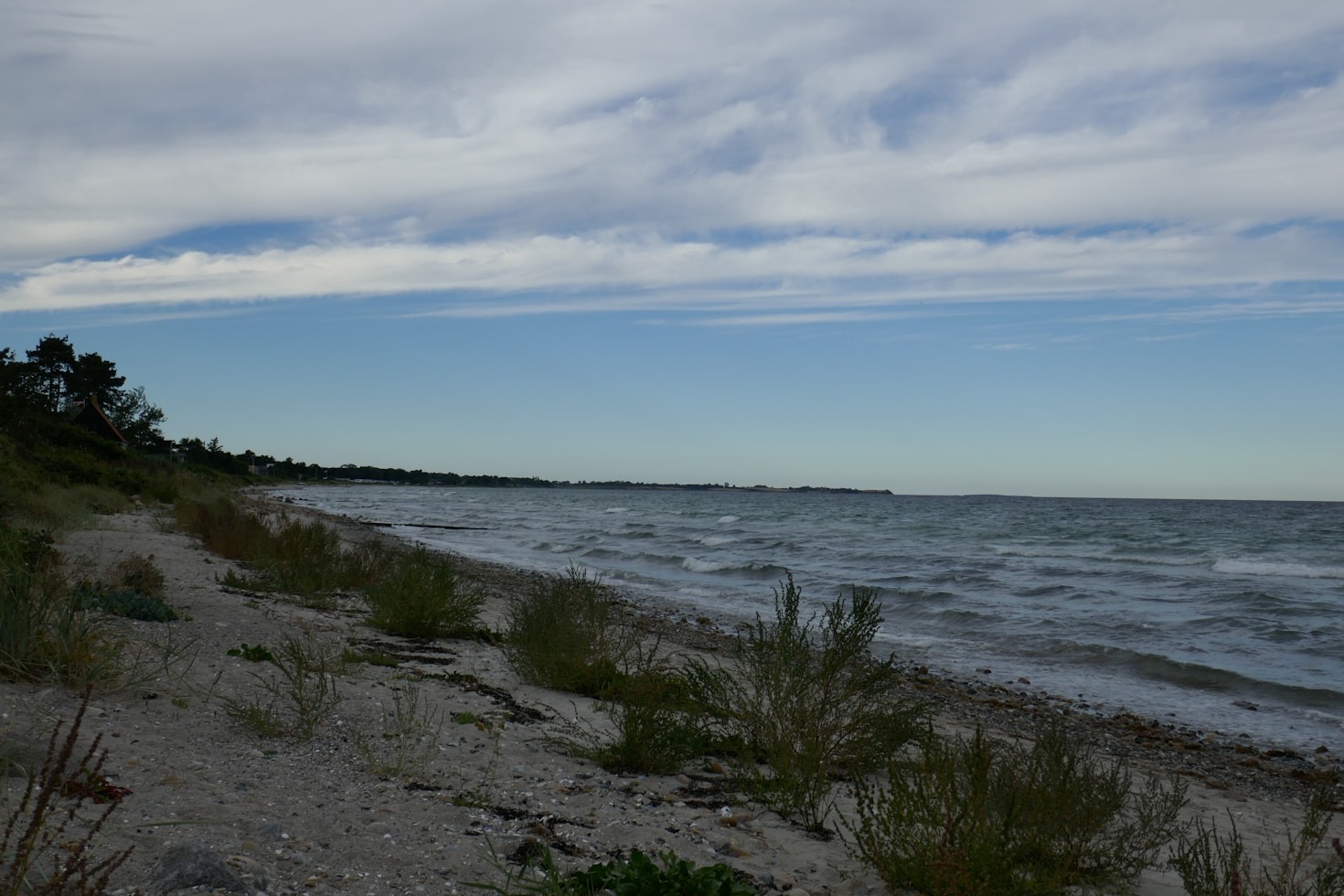 Molboensbakke: Drømmen på Samsø